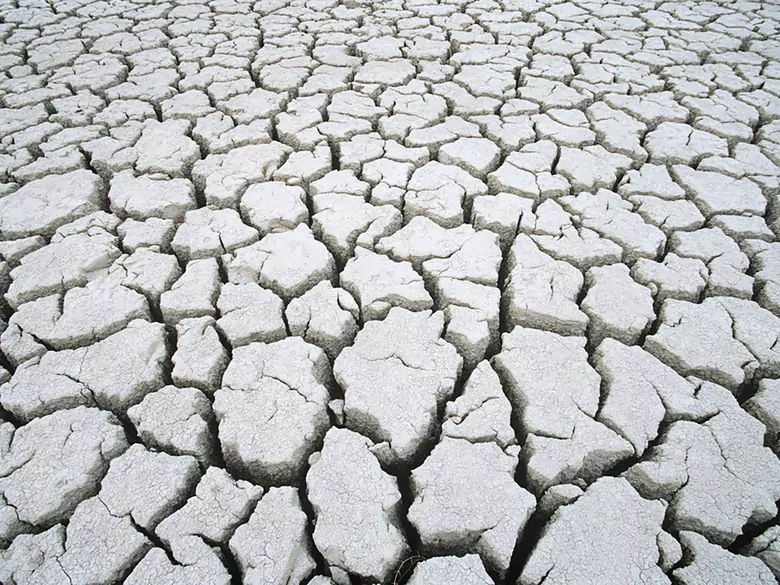 2ª edición del festival Okno na Świat en Bytom