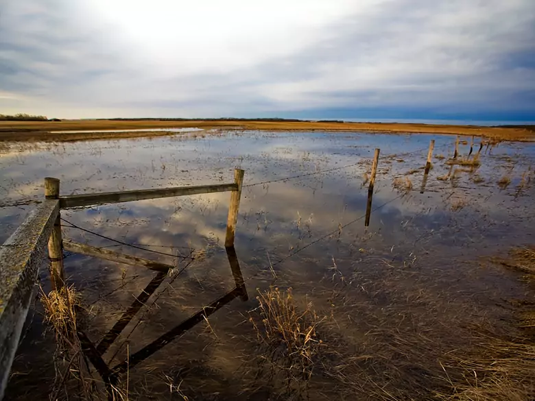 Psicología de las inundaciones: ¿cómo ayudar y cuáles pueden ser los síntomas de la PETD tras una inundación?
