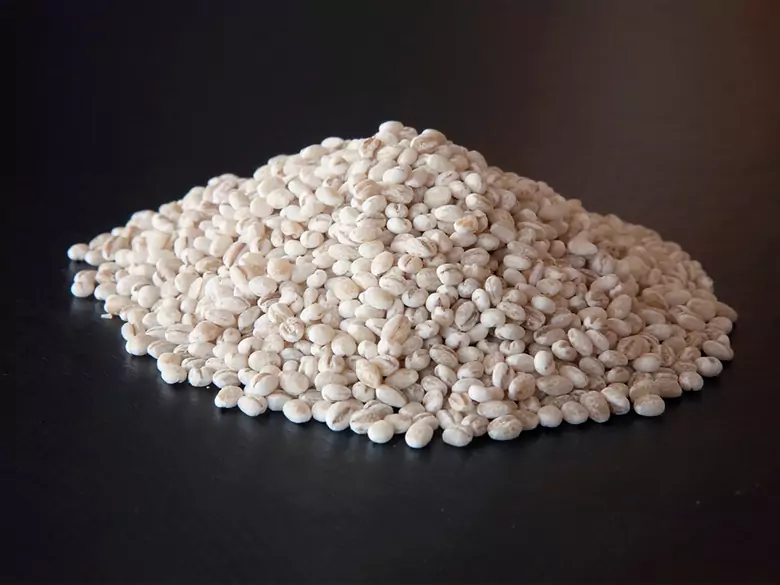 ¿Cuál es el arroz más saludable para nosotros?