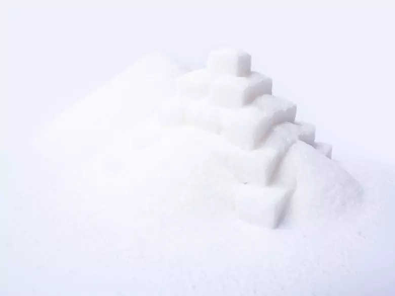 ¿Diabetes de tipo 1 y bacterias gastrointestinales?