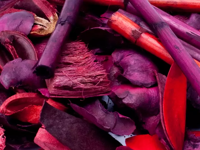 Canela, clavo y cardamomo: potenciadores de la inmunidad en invierno