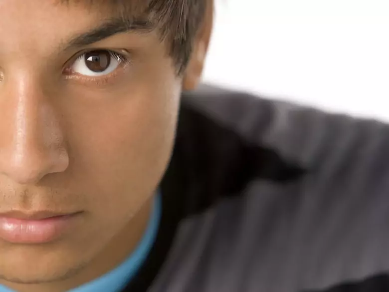 ¿Qué es la lambdis?