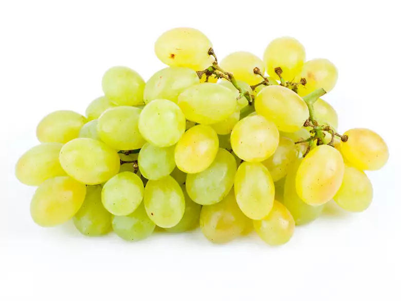 Aceite de pepitas de uva - para la salud y la belleza