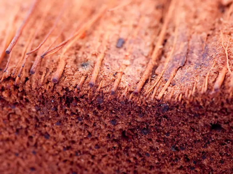 Queratosis folicular - causas, síntomas, diagnóstico, tratamiento