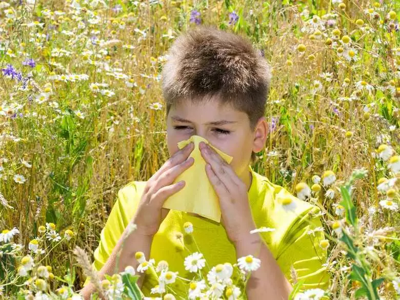 Un preparado antialérgico desaparecerá de las farmacias de todo el país