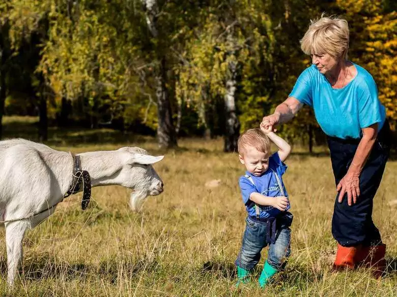 Pruebas de detección de alergias: ¿a qué debe someterse su hijo?