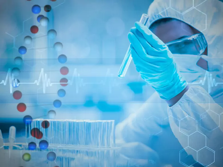 Pruebas de seguridad y eficacia de los cosméticos