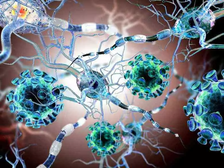 Variedades de coronavirus: ¿son todas igual de peligrosas?