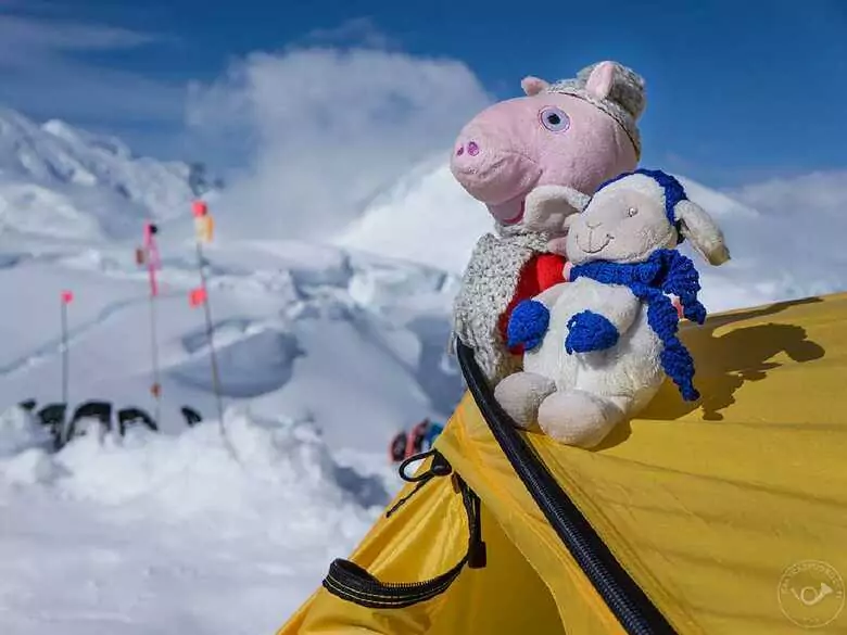 Es algo que tiene que experimentar por sí mismo: una expedición de viajeros dedicada a los niños con SA