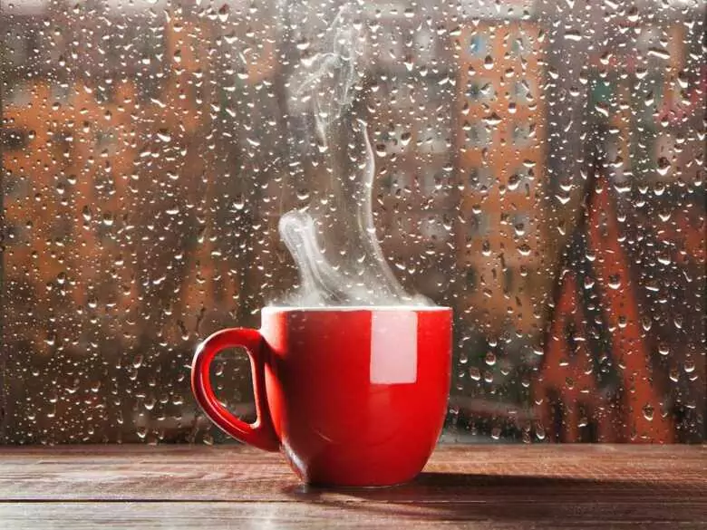 ¿Es saludable beber té?