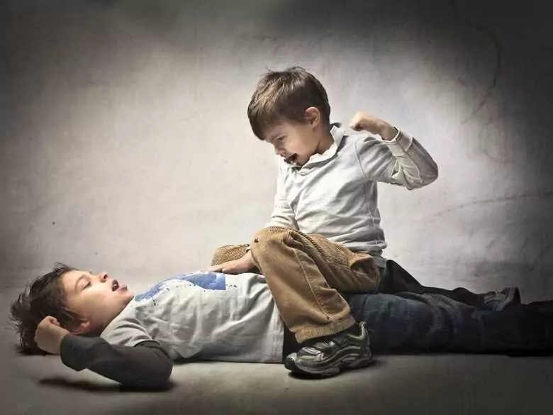 Agresión en niños - causas, síntomas, diagnóstico, tratamiento