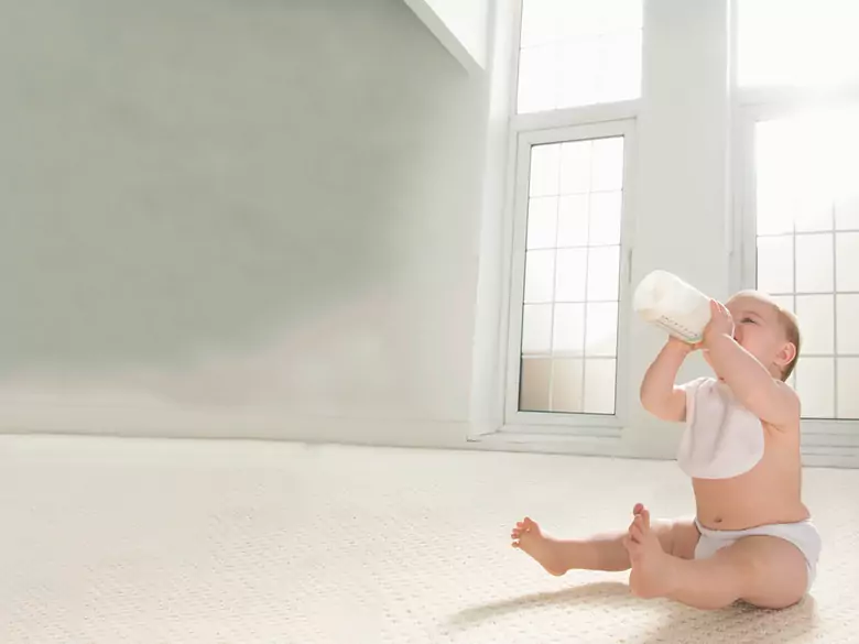 Leche modificada tipo 2 (leche de continuación)