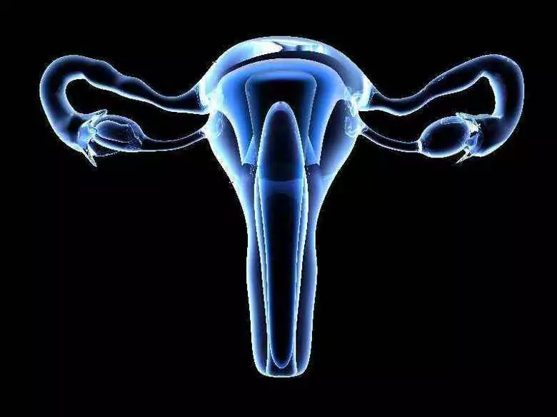 Fisiología del ciclo mensual femenino