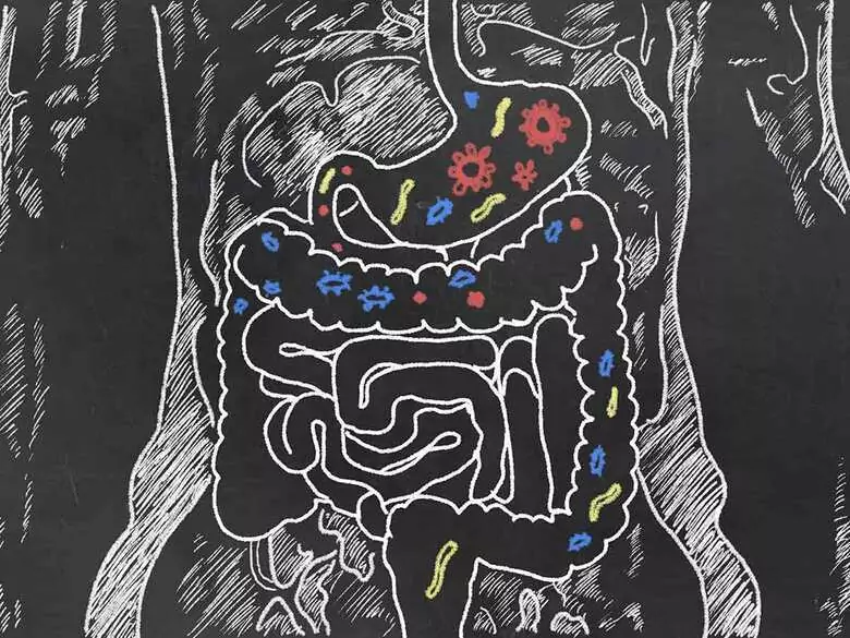 ¿Cómo afrontar los problemas intestinales?