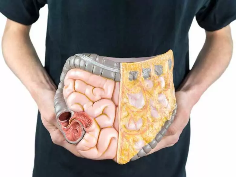 ¿Qué es la dieta FODMAP y para quién está recomendada?