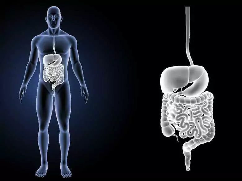 Preparación para una colonoscopia: ¿cómo es y a qué debo prestar atención?