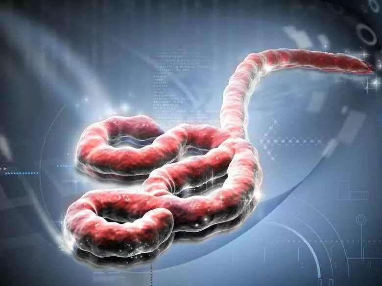 Marcador Ca 19-9 - un marcador para el cáncer gastrointestinal