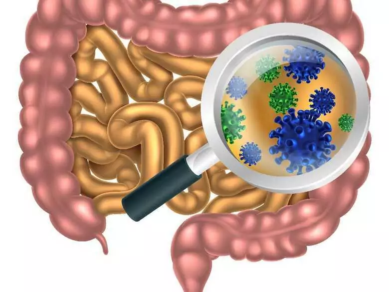 Las bacterias intestinales pueden influir en el desarrollo del cáncer colorrectal