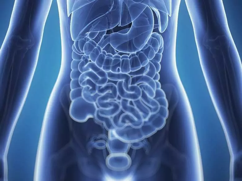 Cáncer de páncreas - causas, síntomas, diagnóstico, tratamiento, prevención