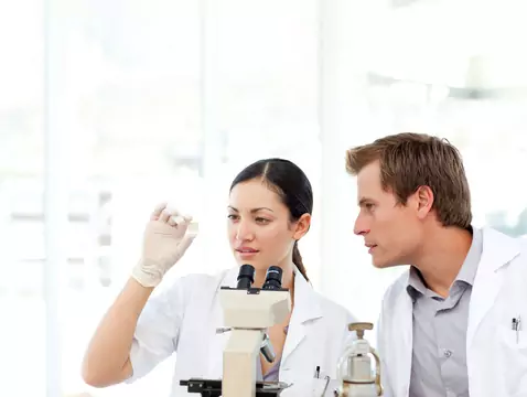 Lombriz redonda - un gusano que viaja del intestino a los pulmones - causas, síntomas, diagnóstico, tratamiento