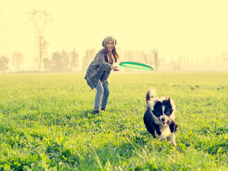 Impacto de las mascotas en la salud mental de sus dueños