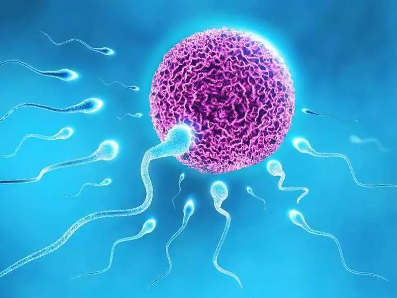 ¿La inseminación artificial será la única forma de quedarse embarazada en un futuro próximo?