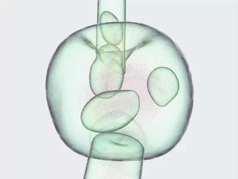 ¡Científicos checos han descubierto una nueva forma de administrar un fármaco directamente en una célula!