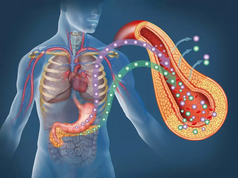 Prevención de la tromboembolia venosa