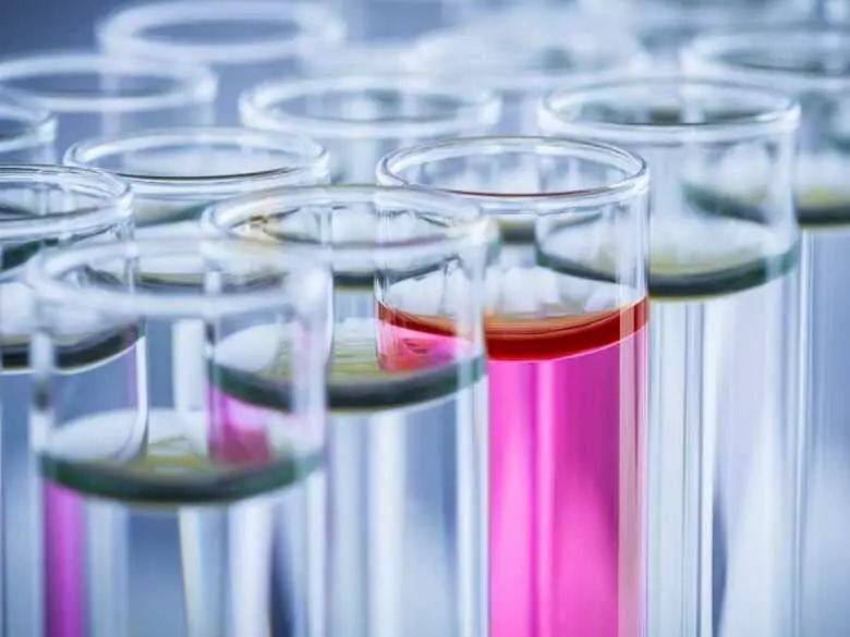 Tipos de células madre y su uso en diversos campos de la medicina