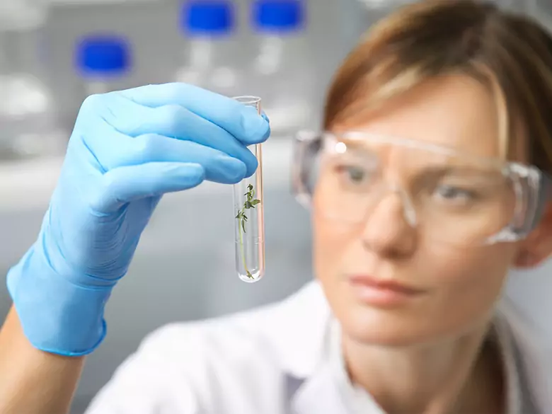 Marcador CEA - marcador de cáncer colorrectal