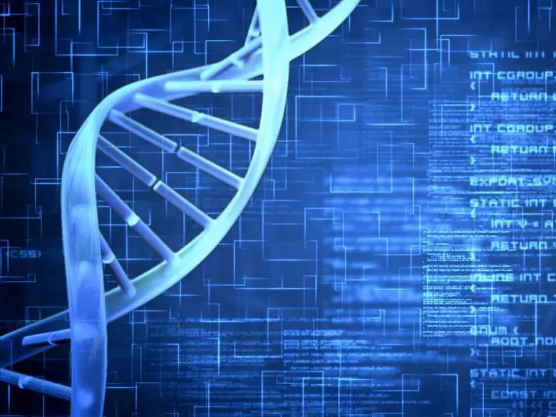 División y características de los tipos de atrofia muscular espinal
