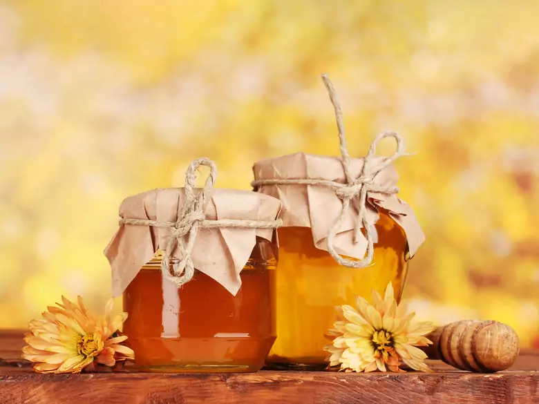 Apiterapia: el uso de productos apícolas en terapéutica