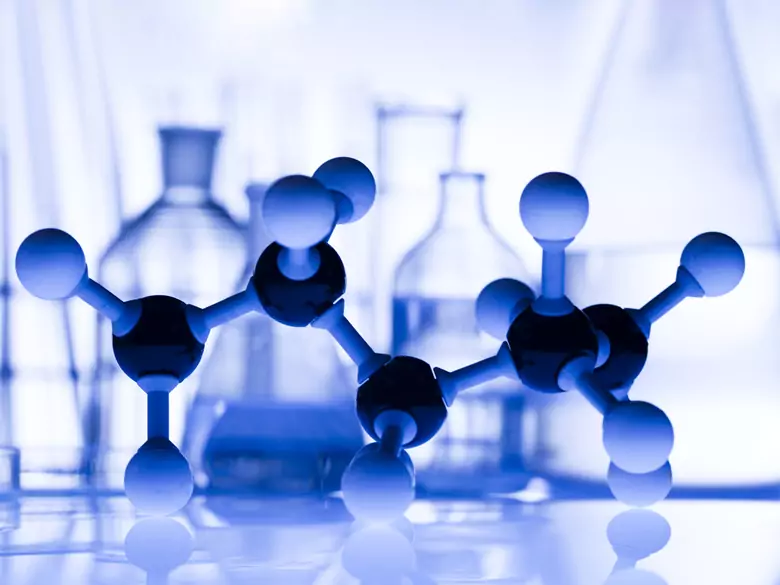 Bioelementos, los elementos de la vida: ¿qué papel desempeñan en el organismo?