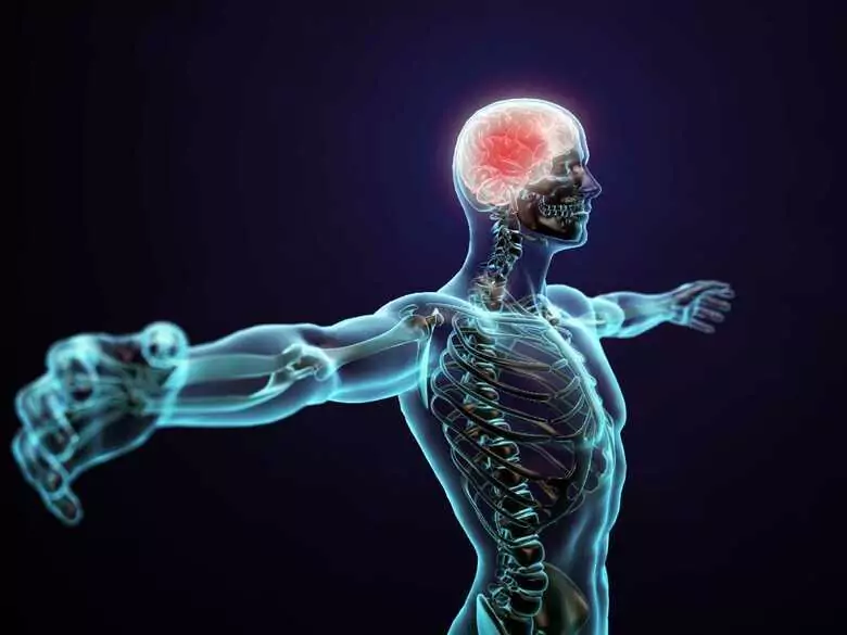 Comprender la enfermedad de Alzheimer