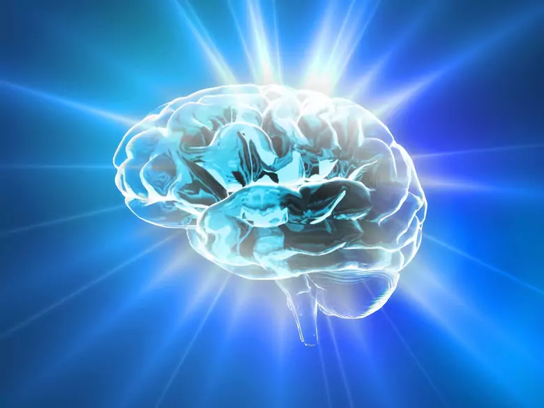 La percepción del color es más limitada de lo que se pensaba