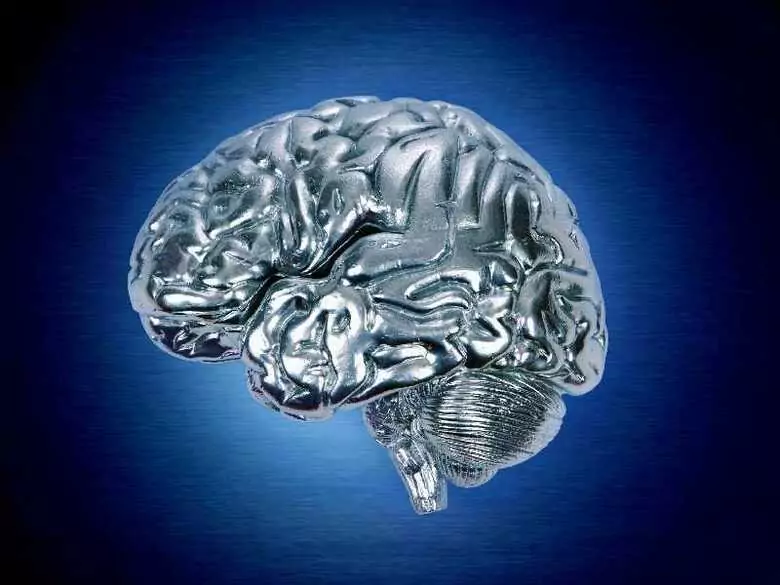 Plasticidad de las estructuras cerebrales