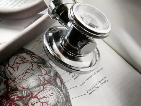 ¿Es cierto que la epilepsia reduce la neurogénesis?