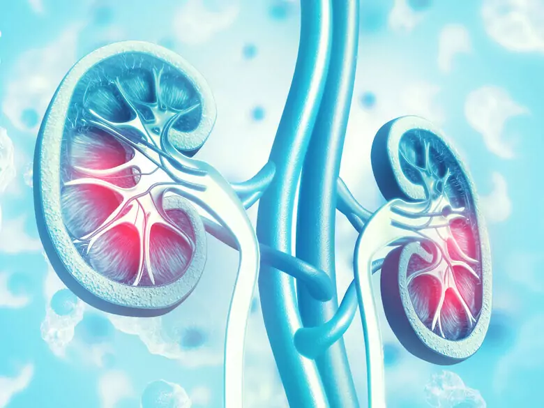 ¿Qué es una dieta sana para las personas con problemas de insuficiencia renal?