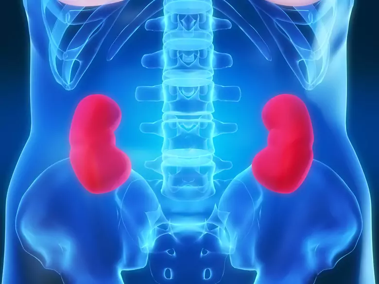 Denervación renal en el tratamiento de la hipertensión resistente