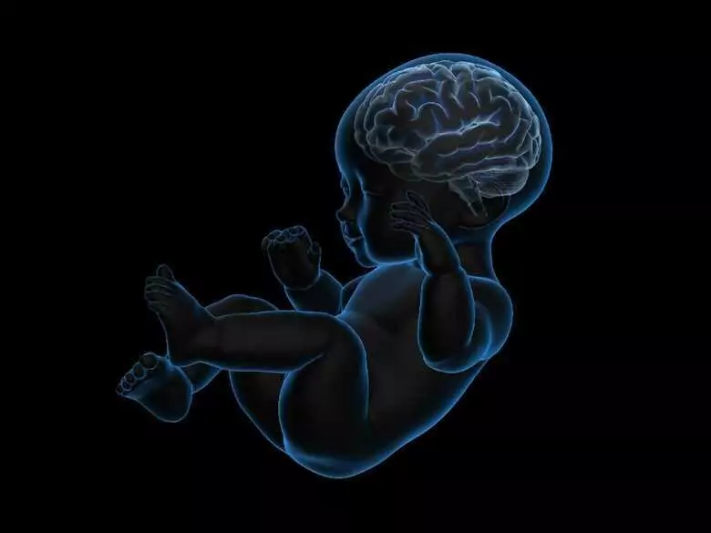 La cartografía cerebral en bebés prematuros puede ayudar a predecir la discapacidad