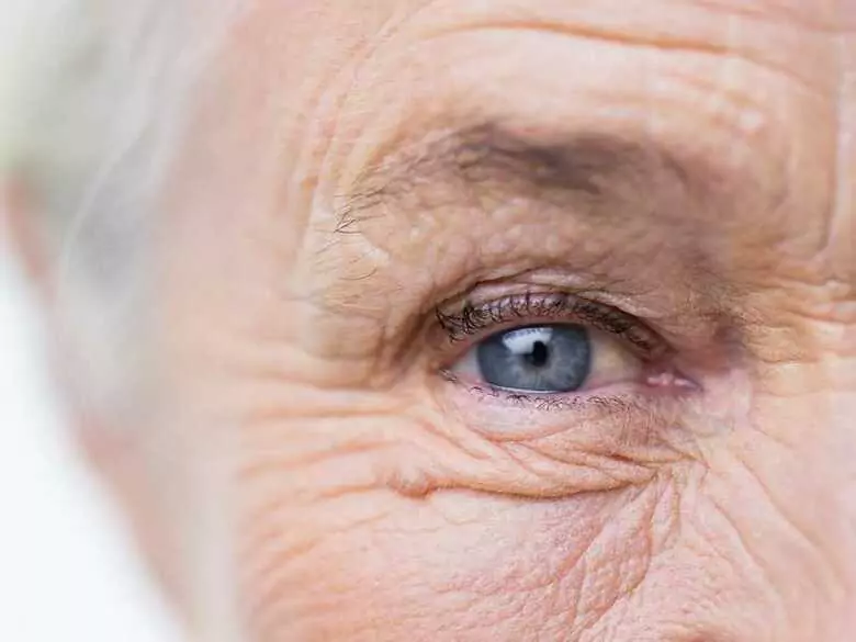 El gen de la juventud