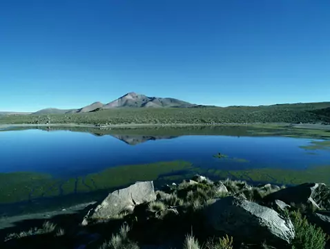 Mal agudo de montaña - causas, síntomas, diagnóstico, tratamiento