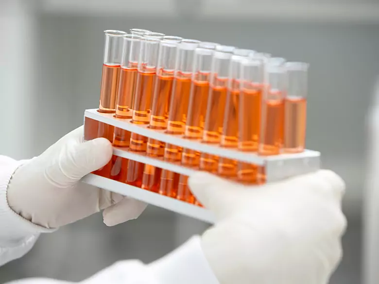 Especialistas polacos desarrollan un fluido innovador para el trasplante de órganos