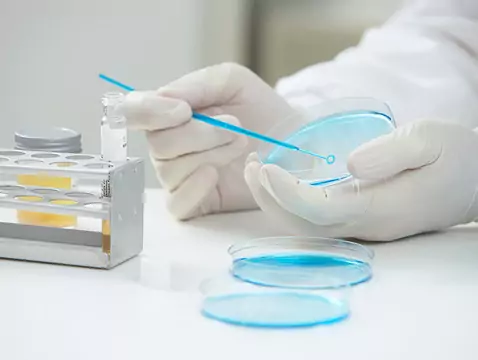 Pruebas cutáneas de alergia positivas