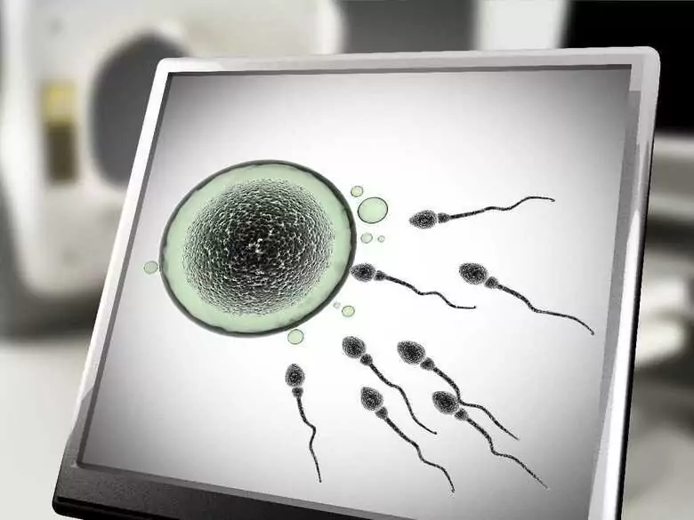 Evolución y desarrollo humanos en el contexto de la menopausia y la selección embrionaria intrauterina