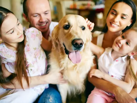 El papel de los animales en la psicoterapia