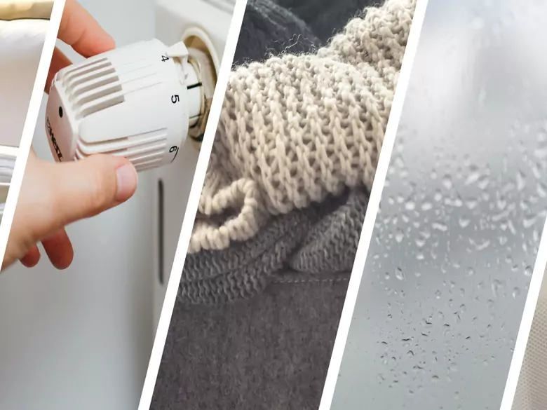 AleAlert: En invierno, las personas alérgicas deben tener cuidado con los ácaros, el aire seco y el moho