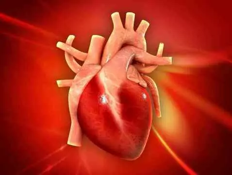 ¿Qué es un corazón-pulmón artificial?