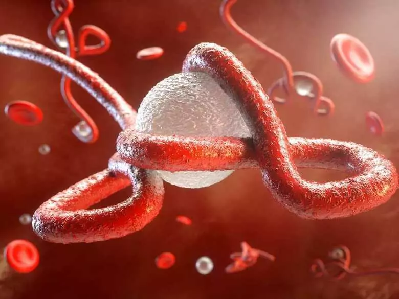 Pancitopenia, trombocitopenia y leucopenia: ¿qué son y cómo tratarlas?