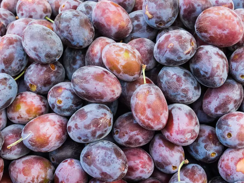 ¿Cuáles son los beneficios de comer ciruelas pasas?